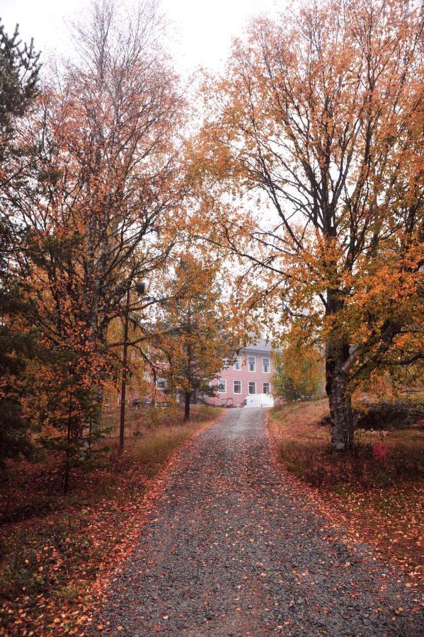 B&B Gillhov & Camping Svenstavik Zewnętrze zdjęcie